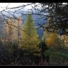 20131105_0081